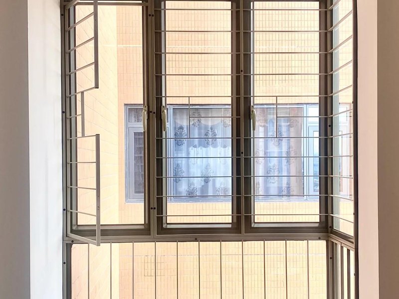 Minimalist Security Grille