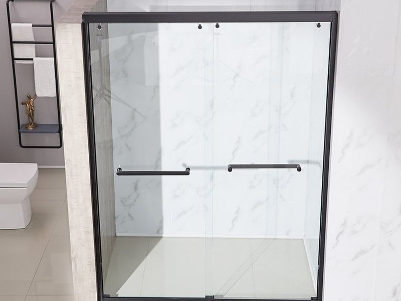 Shower Door