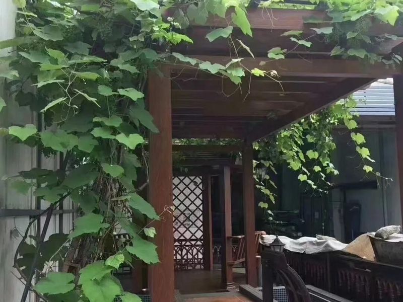 Garden Pergola